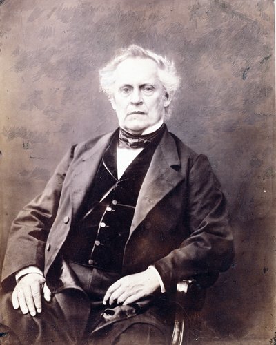 Julius Pluecker (1801-68) by Antoine Francois Jean Claudet